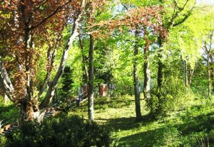 Strand Park Heringsdorf - strandnah/erste Reihe – Wohnung 3.11