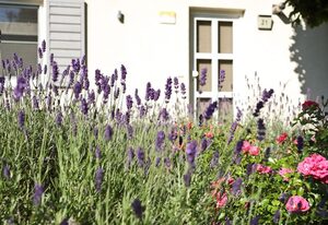 Ferienhaus Ahorn