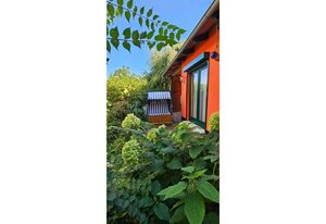 Ferienwohnung im Grünen