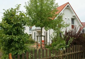 Ferienhaus Falkenrast am Fleesensee