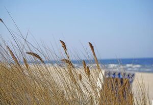 Strand Park Heringsdorf - strandnah/erste Reihe – Wohnung 3.24
