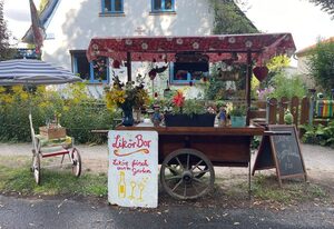 Ulrike Schliemann – Ferienhaus Am Müritz-Nationalpark