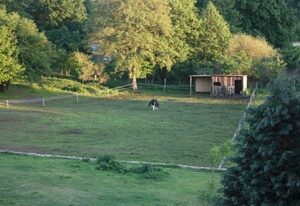 Landhaus Damerow 2