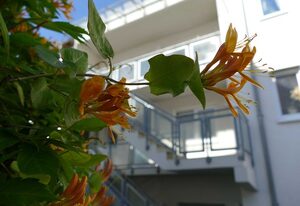 Ferienwohnung Am Seeufer 1 Objekt ID: 120522
