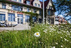 Hotel Amsee Objekt-ID 132682 – Doppelzimmer Komfort