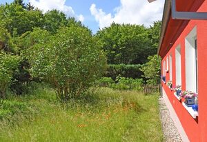 Ferienwohnung im Naturparadies