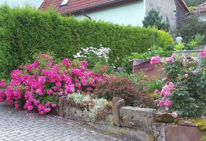 Gemütliches Ferienhaus in Fischbach Rhön