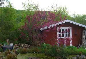 Gemütliches Ferienhaus in Fischbach Rhön