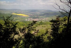 Gemütliches Ferienhaus in Fischbach Rhön