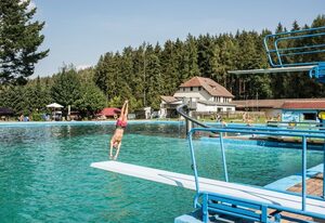2 bis 4 Personen mit Infrarotsauna (F1H0)