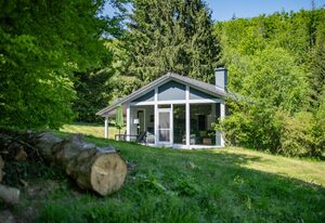 4 Personen mit Sauna (F2H3)