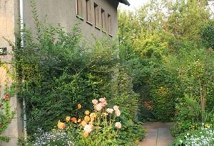 Ferienwohnung Blosenburgblick