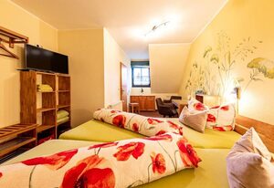 Landferienhaus "Pension Erika" – Einzelzimmer