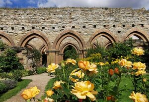 Stiftung Kloster und Kaiserpfalz Memleben – Doppelzimmer