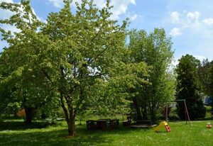 Ferienwohnungen Pfeil – Ferienwohnung 11