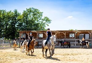 Landhotel &amp; Reiterhof Schumann – Ferienwohnung Storch