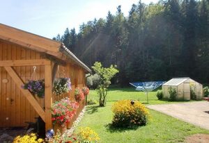 in Röhrnbach mit Grill und Terrasse