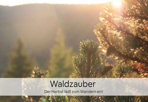 Ferienwohnung Botanica