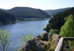 Waldhotel Berghof – Doppelzimmer