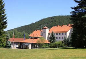 Waldhotel Berghof – Doppelzimmer