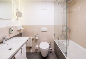 BEST WESTERN Hotel Erfurt-Apfelstädt – Einzelzimmer mit Du/WC
