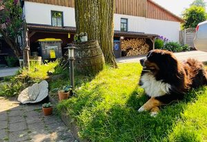 Ferienhof Heufelder Hof – Ferienwohnung 3