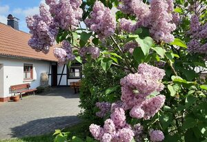 Vey'nes Ferienhaus & Vey'ne Ferienwohnung – Vey'nes Ferienhaus