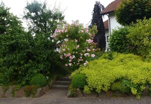 Ferienwohnung Erwin Ortmann – Ferienwohnung mit 2 Schlafräumen