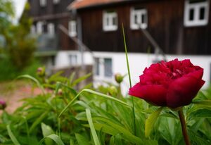 Weiherhof – Fewo Kreuzberg 65qm mit Terrasse