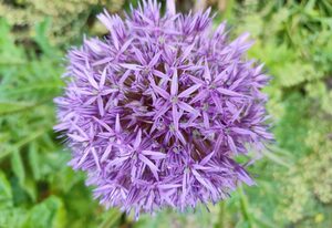 Webers Ferienwohnungen – Große Wunderrhön