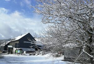 Gasthaus & Pension "Am Rennsteig" – Einzelzimmer mit kostenfreiem WLAN