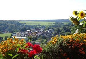 Ferienwohnung Panorama