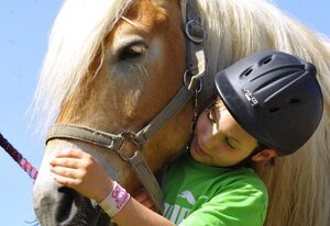 Haflinger Reiterhof Meura – Familien-Komfortzimmer