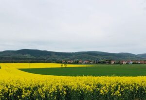 Ferienwohnungen Landliebe Auszeit mit Wohlgefühl – FeWo Landliebe... Die stivolle Variante