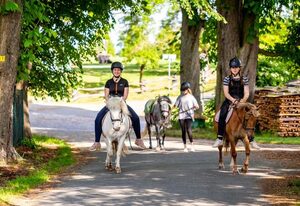 Ferienhof Domäne Groschwitz – Ferienwohnung 15 in der ehemaligen Mühle