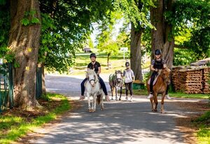 Ferienhof Domäne Groschwitz - Ferienzimmer 3