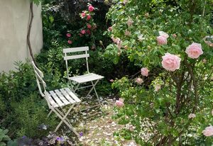Bed & Breakfast Bep - Klein aber fein – Doppelzimmer mit Garten