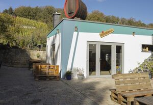 Ferienwohnung Weingut Winzerbar – Appartement/Fewo, Dusche, WC
