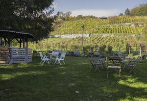 Ferienwohnung Weingut Winzerbar – Appartement/Fewo, Dusche, WC