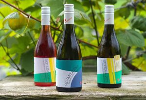 Ferienwohnung Weingut Winzerbar – Appartement/Fewo, Dusche, WC