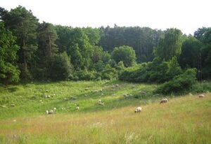 Kleines Gästehaus der Bergschäferei