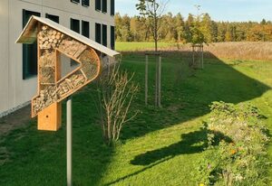 DEKRA Congresshotel Wart – Business Einzelzimmer im Congresshotel
