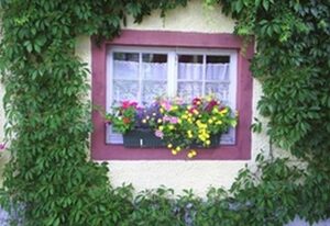 Pension Sonne – Doppelzimmer mit WC und Dusche