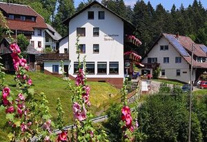 Hotel Pension Sternen – Doppelzimmer mit Dusche und WC