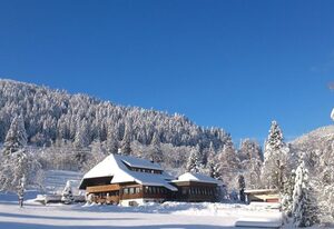 Das Schwarzwaldhotel – Doppelzimmer Standard, 1 Schlafzimmer, 1 Doppelbett