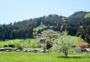 Sonnenschein