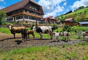 Breigenhof – Ferienhaus Weideblick EG