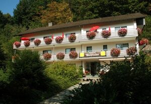 Pension Waldfrieden – Doppelzimmer mit Dusche und WC