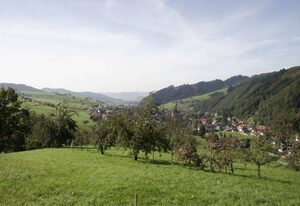 Pension Waldfrieden – Doppelzimmer mit Dusche und WC