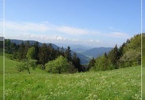 Hotel Garni Café Schacher – Einzelzimmer, 26qm mit Dusche/WC